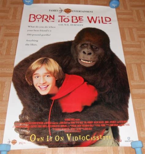 born to be wild 1995 dvd|gorilla movies 90s.